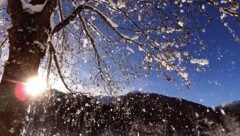 Ein Mediziner erklärt, warum Winterspaziergänge leider nicht reichen, um den Vitamin-D-Haushalt ...