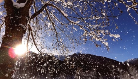 Ein Mediziner erklärt, warum Winterspaziergänge leider nicht reichen, um den Vitamin-D-Haushalt ...