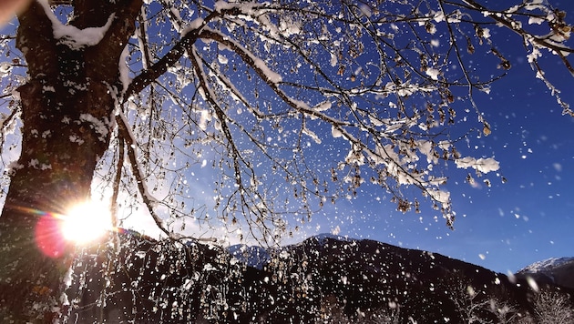 Ein Mediziner erklärt, warum Winterspaziergänge leider nicht reichen, um den Vitamin-D-Haushalt ...