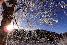 Ein Mediziner erklärt, warum Winterspaziergänge leider nicht reichen, um den Vitamin-D-Haushalt ...