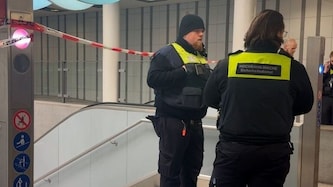 Am Donnerstagabend hat sich ein schrecklicher Zwischenfall bei einer U-Bahn-Station in Hamburg ...