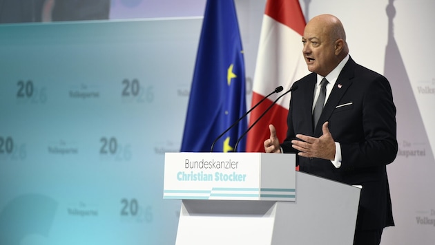 Der ÖVP-Chef kündigt eine Volksbefragung an – allerdings ohne Absprache mit seinen beiden ...