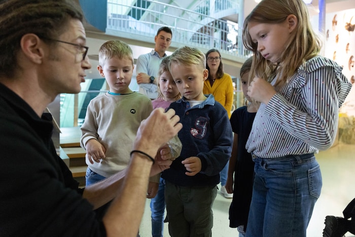 Entdeckungstouren werden im Museum NÖ geboten