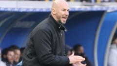 Christian Ilzer befindet sich mit Hoffenheim im Höhenflug.