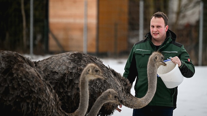 Michael Eschlböck-Bauer züchtet seit 2020 Strauße.