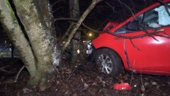 Der Fahrer (19) verlor die Kontrolle und krachte gegen einen Baum.