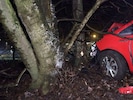 Der Fahrer (19) verlor die Kontrolle und krachte gegen einen Baum.