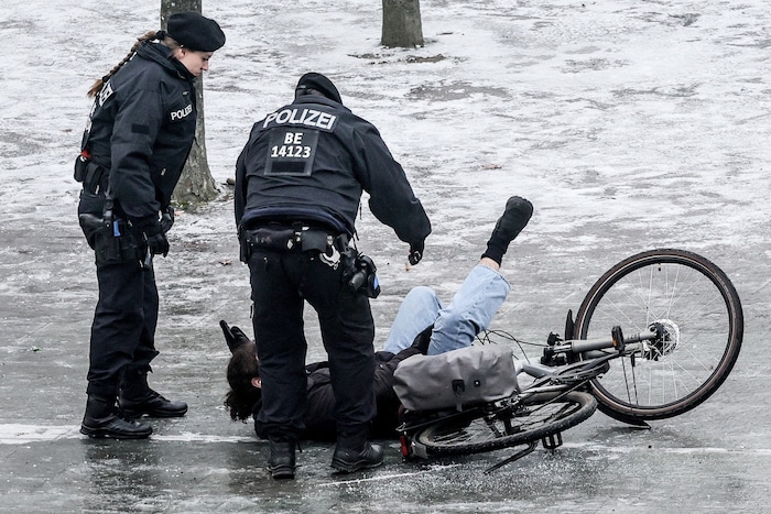 Voll auf „die Schnauze“!