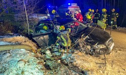 Der Beifahrer konnte sich nicht aus dem Wagen befreien. 