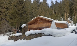 Ein gewidmeter Freizeitwohnsitz am Pillberg: Es wird nicht vermietet, es gibt keine Zufahrt: ...