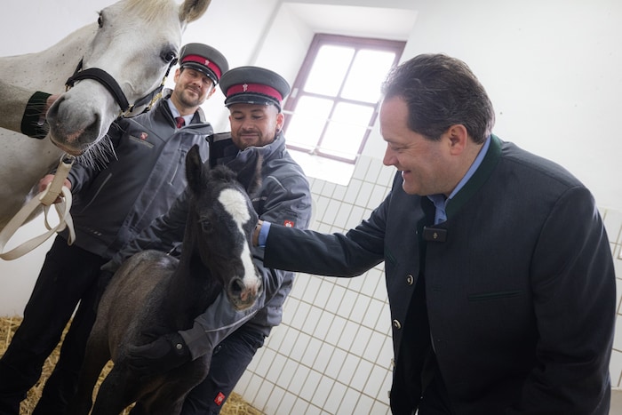 Minister Norbert Totschnig: „Die Lipizzaner sind ein rot-weiß-rotes Wahrzeichen und eine ...