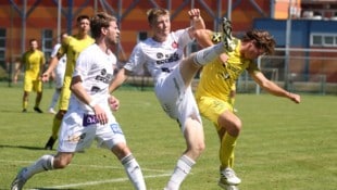 Trifft auf bei der Austria: Nico Lukasser-Weitlaner (mitte).