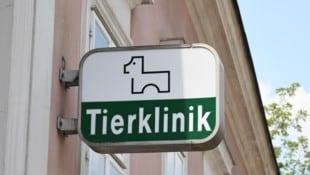 Die Kosten beim Tierarzt steigen empfindlich an, monieren viele Steirer (Symbolbild).