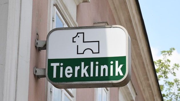 Die Kosten beim Tierarzt steigen empfindlich an, monieren viele Steirer (Symbolbild).
