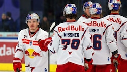 Können durchatmen: Die Eisbullen.