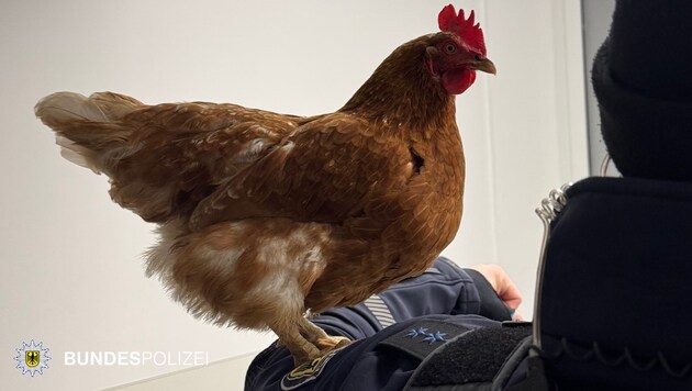 Henrietta auf dem Arm eines Bundespolizisten