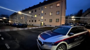 Eine Vernehmung der Mutter konnte bislang noch nicht durchgeführt werden.