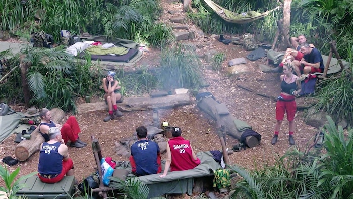 Im Dschungel tobt erneut ein Streit um Ariels Schlafstätte ...