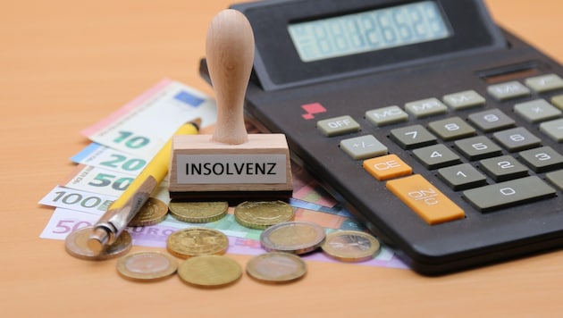Wien liegt bei den Insolvenzen vor allen anderen Bundesländern. Es geht aber um mehr als nur die ...