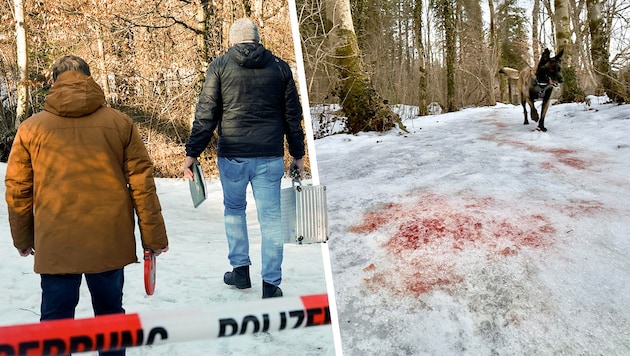 Für Spaziergänger in der Pidinger Au waren die Blutflecken im Schnee auch am Tag nach der ...