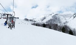 Ein idyllischer Schneetag im Skigebiet Tsugaike in Nagano endete für eine Touristin tödlich.