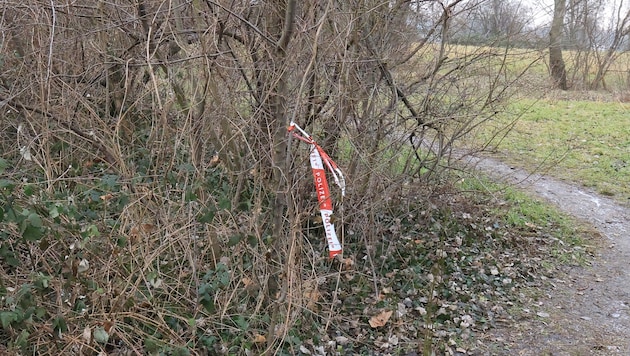 The body was found in a hole in the ground.