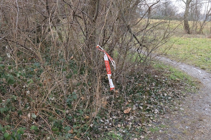 In einem Erdloch wurde die Leiche gefunden.