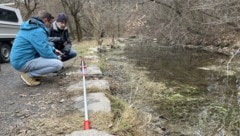 Von der Gewässeraufsicht wurden Montag Proben genommen.