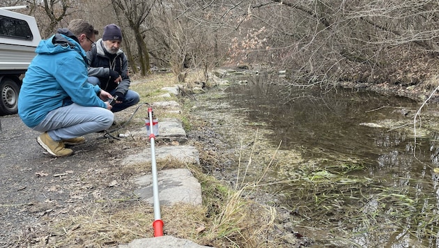 Durch die Gewässeraufsicht des Landes wurden Proben genommen.
