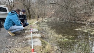 Von der Gewässeraufsicht wurden Montag Proben genommen.