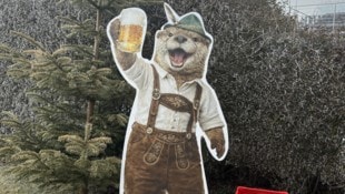 „Sepp“ fühlt sich in seinem neuen Zuhause wohl