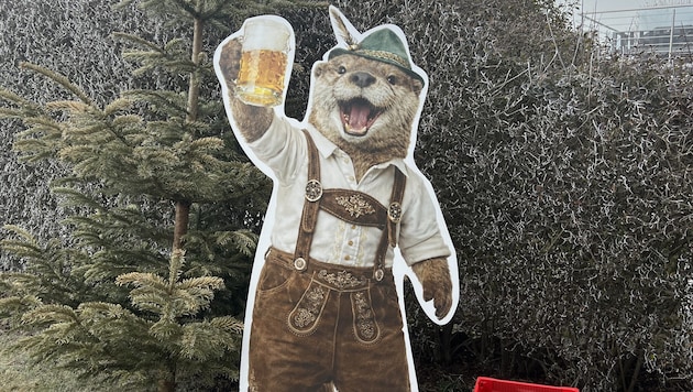 „Sepp“ fühlt sich in seinem neuen Zuhause wohl