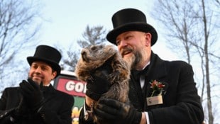 Am Montag, 2. Februar, wurde in den USA und Kanada wieder der „Groundhog Day“ gefeiert.