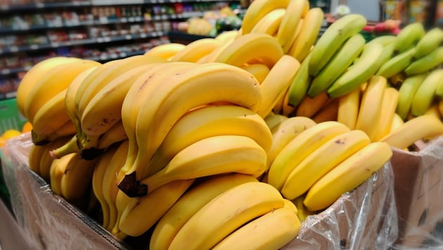 Für über 250 Pestizide gilt ein EU-Verbot, weil sie als zu gefährlich für Mensch und Umwelt ...