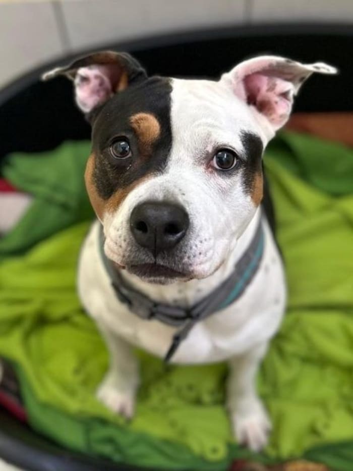 Die zweijährige Nora würde gerne ihr Herz verschenken.