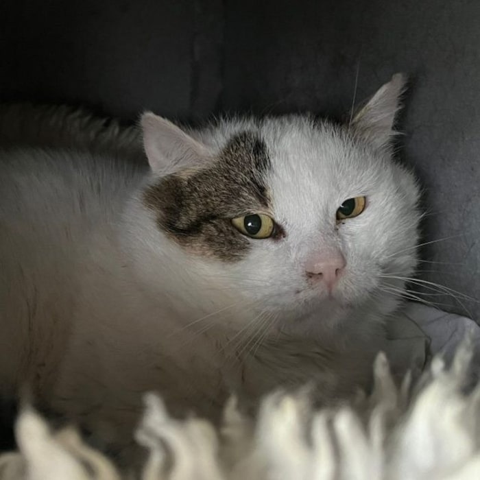 Gibt es ein happy end für mich?