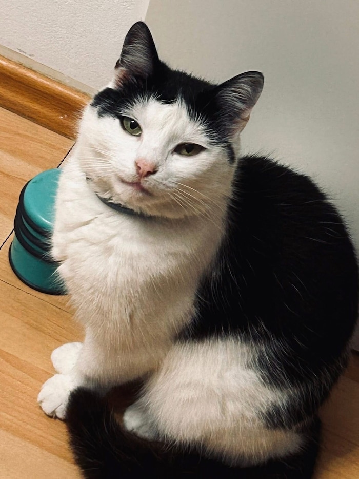 Coco ist spurlos verschwunden.