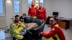 Für die „Krone“ geben Samariterbund und Rotes Kreuz wieder wichtige Erste-Hilfe-Tipps.