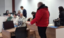 Der angebliche Exekutor und Kreditvermittler, die Haushaltshilfe und der Chauffeur haben schon ...