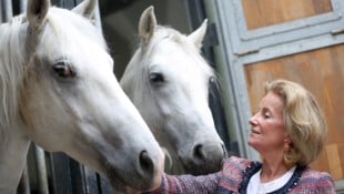 Bis Ende 2018 war Elisabeth Gürtler Geschäftsführerin der Spanischen Hofreitschule. Nun kehrt ...