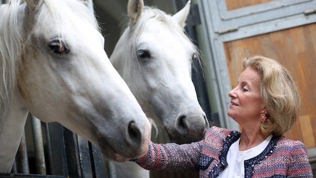 Bis Ende 2018 war Elisabeth Gürtler Geschäftsführerin der Spanischen Hofreitschule. Nun kehrt ...