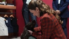 Prinzessin Kate schmuste bei einem Termin in einer Textilfabrik mit Hund „Barney“ und enthüllte ...