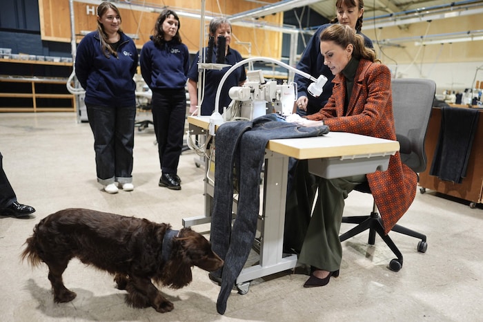 Süß! Cocker Spaniel „Barney“ wollte Kate bei ihrem Besuch des Jeans-Herstellers Hiut Denim gar ...