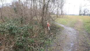 Ein Spaziergänger entdeckte den Leichnam.