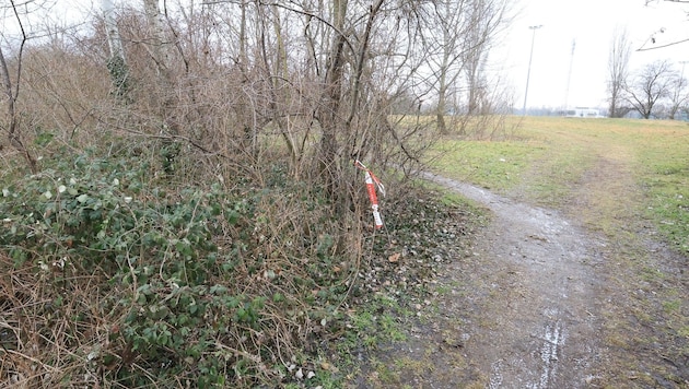 Ein Spaziergänger entdeckte den Leichnam.