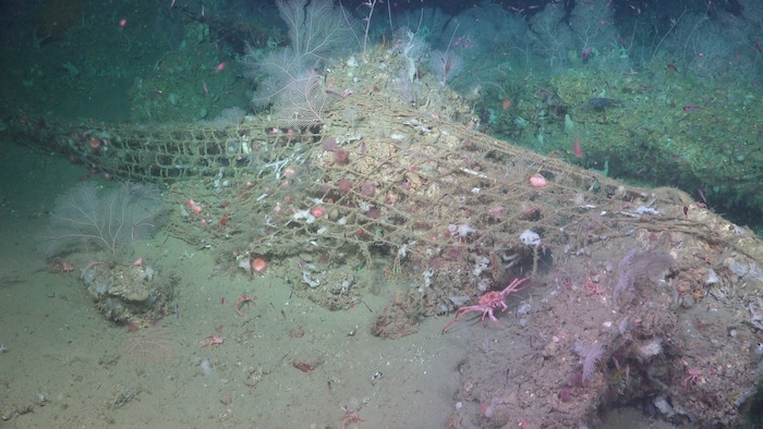 Fischernetze lagen am Meeresboden.