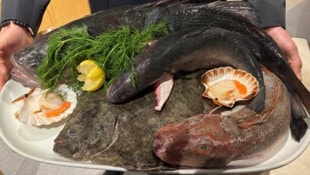 Das Partenope in Mariahilf hat erst vor Kurzem eröffnet.