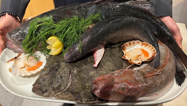 Das Partenope in Mariahilf hat erst vor Kurzem eröffnet.