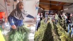 Der Krameter ist eine sehr scheue Gestalt. Doch am Sonntag könnte er in einer Rekord-Abordnung ...