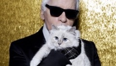 Modezar Karl Lagerfeld liebte seine Katze „Choupette“ so sehr, dass er ihr Haus und Geld ...